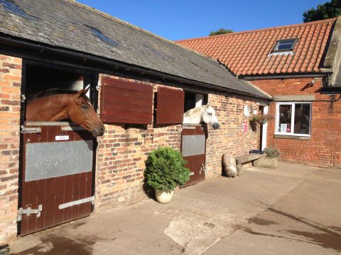 Cowcombe Equestrian – DIY Livery