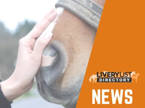 Results of NEWC Horse Owner Survey Published