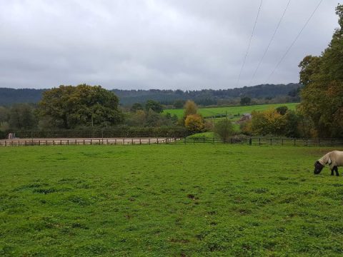 Bridgelands Farm Stables