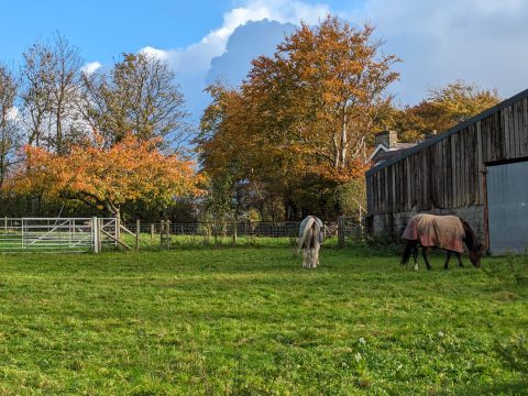 Castle Farm Livery & Cross Country