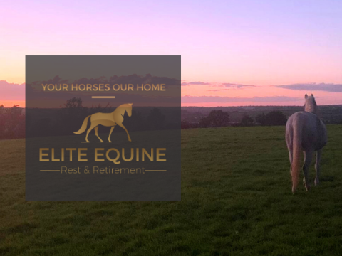 Elite Equine Rest and Retirement