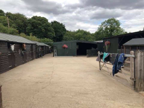 Tangletree Stables
