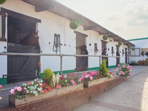 Calico Livery Stables