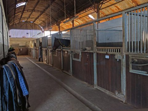 Compton Grove Farm and Stables