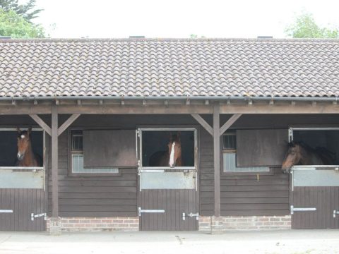 Champney Equestrian – Robin Post Stables