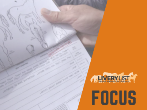 LiveryList: Focus On… Horse Passports and Your Responsibilities