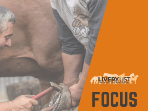 The LiveryList Guide to… Managing Equine Professionals on Your Yard