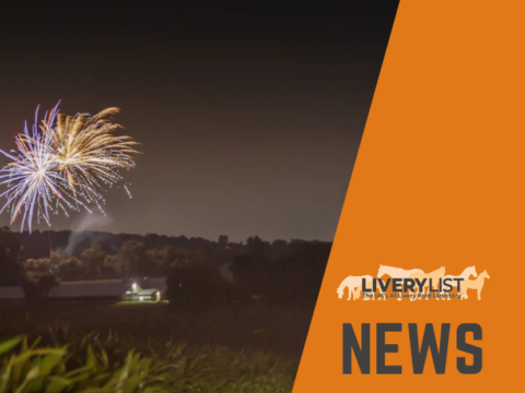 Welfare Concerns Over Firework Display Cancellations