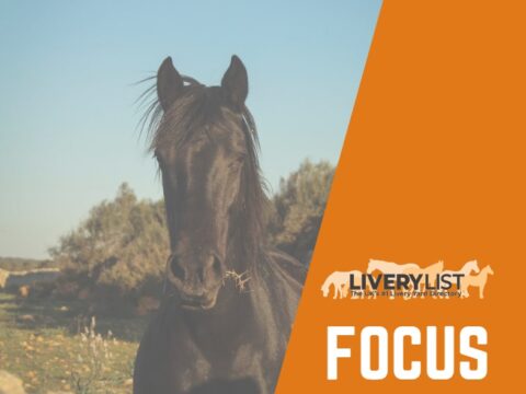 LiveryList Focus On… Clipping: Getting It Right First Time