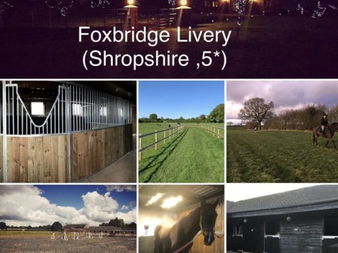 Foxbridge Livery