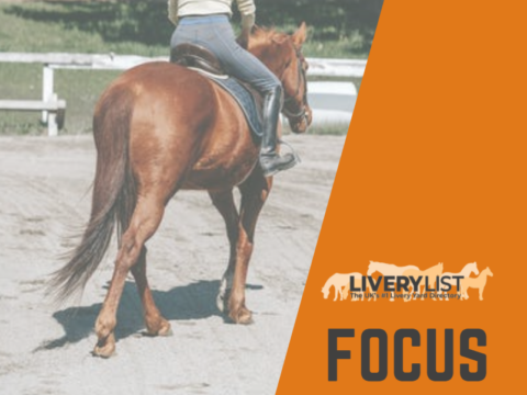 LiveryList Focus On… Maintaining Your Riding Surfaces