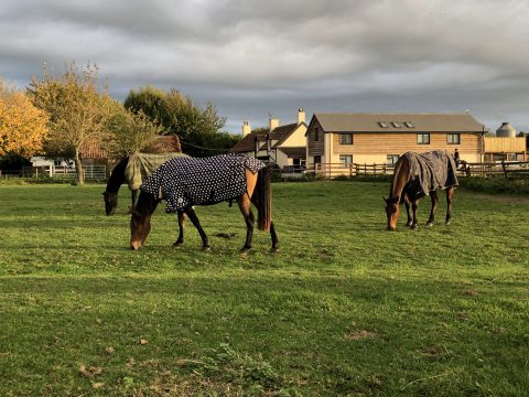 Little Leigh Farm Equestrian Centre