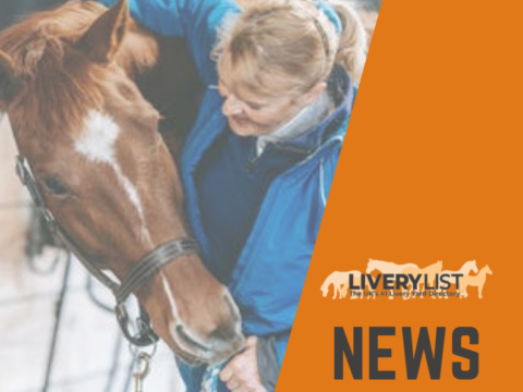 New Livery Yard Managers Course Launched in Partnership with LiveryList