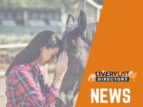 New “Help for Horse Owners” Service Launched by World Horse Welfare
