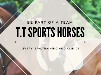 Trilogee Sports Horses