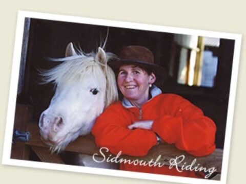 SIDMOUTH RIDING LIVERY