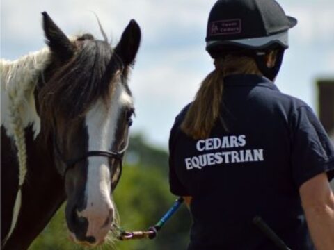 Cedars Equestrian