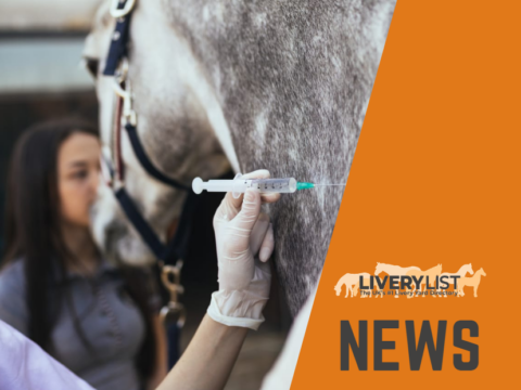 British Equestrian Equine Influenza Update